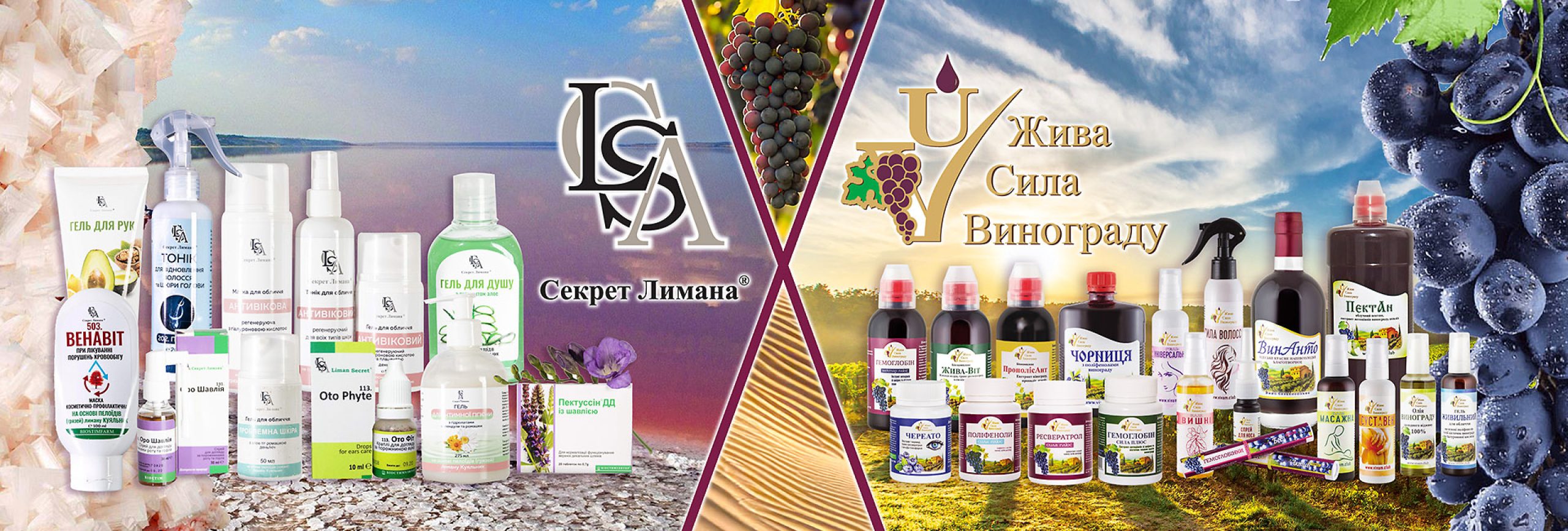 banner_bg_home-3840×1300.jpg.pagespeed.ce.HDHcyza_Zs